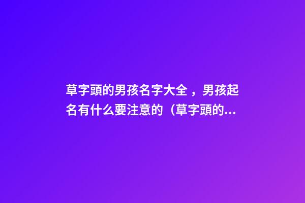 草字頭的男孩名字大全，男孩起名有什么要注意的（草字頭的男孩名字大全,男孩起名有什么要注意的嗎）